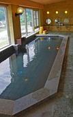 Туры в отель Gero Onsen Yukyunohana Туры в отель Gero Onsen Yukyunohana