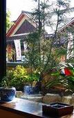 Туры в отель Gero Onsen Yukyunohana Туры в отель Gero Onsen Yukyunohana