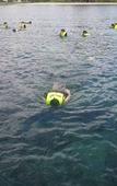 Туры в отель Jungle Koh Kood Resort Туры в отель Jungle Koh Kood Resort