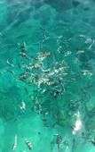 Туры в отель Jungle Koh Kood Resort Туры в отель Jungle Koh Kood Resort