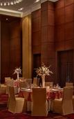 Туры в отель Hyatt Regency Chandigarh Туры в отель Hyatt Regency Chandigarh
