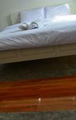 Туры в отель Sucholtee Resort Туры в отель Sucholtee Resort