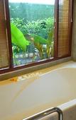 Туры в отель Sucholtee Resort Туры в отель Sucholtee Resort