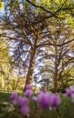 Туры в отель Best Western Premier Le Domaine de Montjoie Туры в отель Best Western Premier Le Domaine de Montjoie