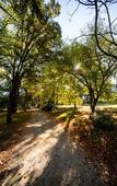 Туры в отель Best Western Premier Le Domaine de Montjoie Туры в отель Best Western Premier Le Domaine de Montjoie