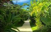 Туры в отель Siargao Bleu Resort And Spa Туры в отель Siargao Bleu Resort And Spa