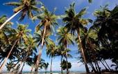 Туры в отель Siargao Bleu Resort And Spa Туры в отель Siargao Bleu Resort And Spa
