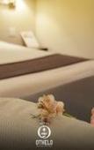 Туры в отель Othelo Hotel Boutique Mexico Туры в отель Othelo Hotel Boutique Mexico