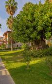 Туры в отель Justiniano Club Alanya Туры в отель Justiniano Club Alanya