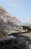 Туры в отель ANDO HOTEL NaraWakakusayama~DLIGHT LIFE & HOTELS~ Туры в отель ANDO HOTEL NaraWakakusayama~DLIGHT LIFE & HOTELS~