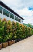 Туры в отель Charming in Khao Yai Hotel Туры в отель Charming in Khao Yai Hotel