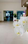 Туры в отель Sicilia Hotel Spa Туры в отель Sicilia Hotel Spa