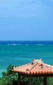 Туры в отель The Uza Terrace Beach Club Villas Туры в отель The Uza Terrace Beach Club Villas