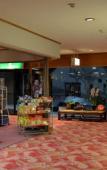 Туры в отель Kinokuniya Ryokan Туры в отель Kinokuniya Ryokan