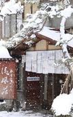 Туры в отель Yudanaka Seifuso Туры в отель Yudanaka Seifuso