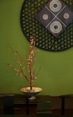 Туры в отель Hotel Shiragiku Туры в отель Hotel Shiragiku