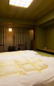Туры в отель Hotel Shiragiku Туры в отель Hotel Shiragiku