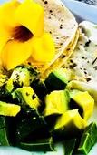 Туры в отель Galapagos Sunset Hotel Туры в отель Galapagos Sunset Hotel