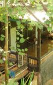 Туры в отель Sam's Jungle Guesthouse Туры в отель Sam's Jungle Guesthouse