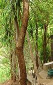 Туры в отель Sam's Jungle Guesthouse Туры в отель Sam's Jungle Guesthouse