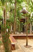 Туры в отель Sam's Jungle Guesthouse Туры в отель Sam's Jungle Guesthouse