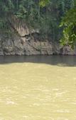 Туры в отель Sam's Jungle Guesthouse Туры в отель Sam's Jungle Guesthouse