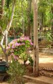 Туры в отель Sam's Jungle Guesthouse Туры в отель Sam's Jungle Guesthouse