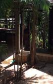 Туры в отель Sam's Jungle Guesthouse Туры в отель Sam's Jungle Guesthouse