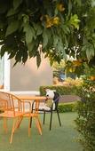 Туры в отель The Smart Hotel Hatyai Туры в отель The Smart Hotel Hatyai