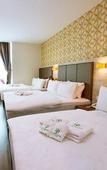 Туры в отель Tropicana Boutique Hotel Туры в отель Tropicana Boutique Hotel