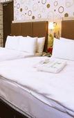 Туры в отель Tropicana Boutique Hotel Туры в отель Tropicana Boutique Hotel