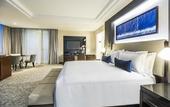 Туры в отель Hyatt Regency San Luis Potosi Туры в отель Hyatt Regency San Luis Potosi