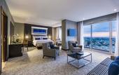 Туры в отель Hyatt Regency San Luis Potosi Туры в отель Hyatt Regency San Luis Potosi