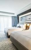 Туры в отель Hyatt Regency San Luis Potosi Туры в отель Hyatt Regency San Luis Potosi
