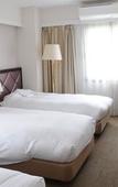 Туры в отель Hotel Terrace Yokohama Туры в отель Hotel Terrace Yokohama