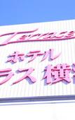 Туры в отель Hotel Terrace Yokohama Туры в отель Hotel Terrace Yokohama