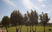 Туры в отель Villa Strampelli Туры в отель Villa Strampelli