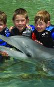 Туры в отель Kahala Resort Туры в отель Kahala Resort
