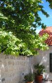 Туры в отель Lanterna Rooms Туры в отель Lanterna Rooms
