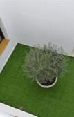 Туры в отель Hotel Avenida Туры в отель Hotel Avenida