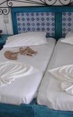 Туры в отель Kaiser Hotel Туры в отель Kaiser Hotel