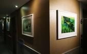 Туры в отель Hotel Tong Yeondong Jeju Туры в отель Hotel Tong Yeondong Jeju