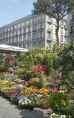 Туры в отель Areamare Bed & Breakfast Туры в отель Areamare Bed & Breakfast