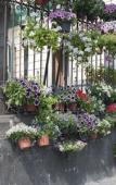 Туры в отель Areamare Bed & Breakfast Туры в отель Areamare Bed & Breakfast