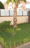 Туры в отель B&B Elisir Туры в отель B&B Elisir