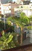 Туры в отель B&B Elisir Туры в отель B&B Elisir