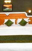 Туры в отель Treebo Green View, Park Circus Туры в отель Treebo Green View, Park Circus