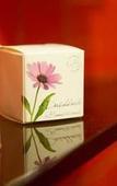 Туры в отель Hotel Ristorante Sasso Туры в отель Hotel Ristorante Sasso