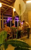 Туры в отель An's Eco Garden Туры в отель An's Eco Garden