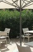 Туры в отель Hotel Le Petit Prince Туры в отель Hotel Le Petit Prince